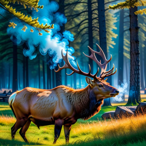 Photo of a smoking of a elk in the park
